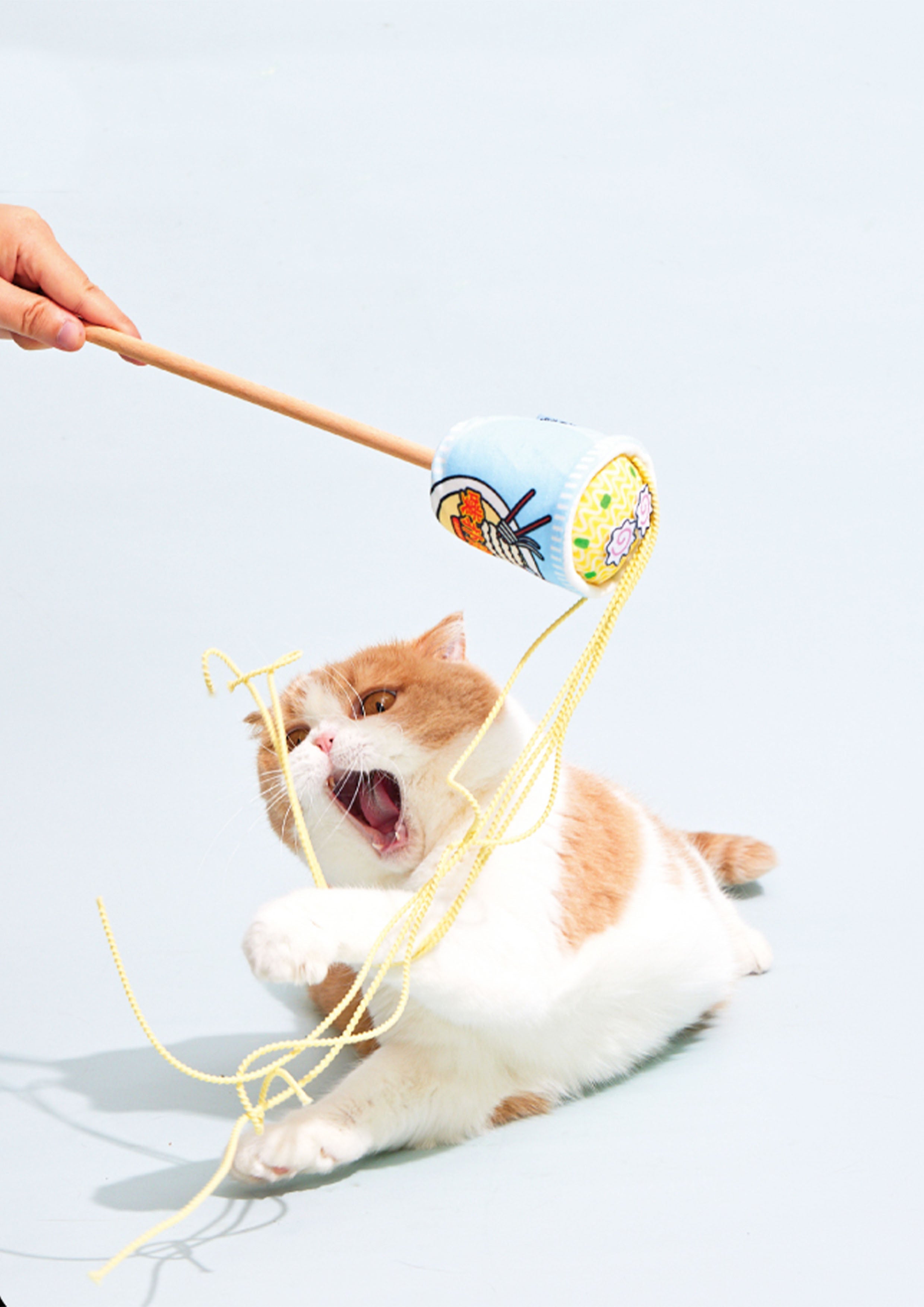 Shop for Your Cat