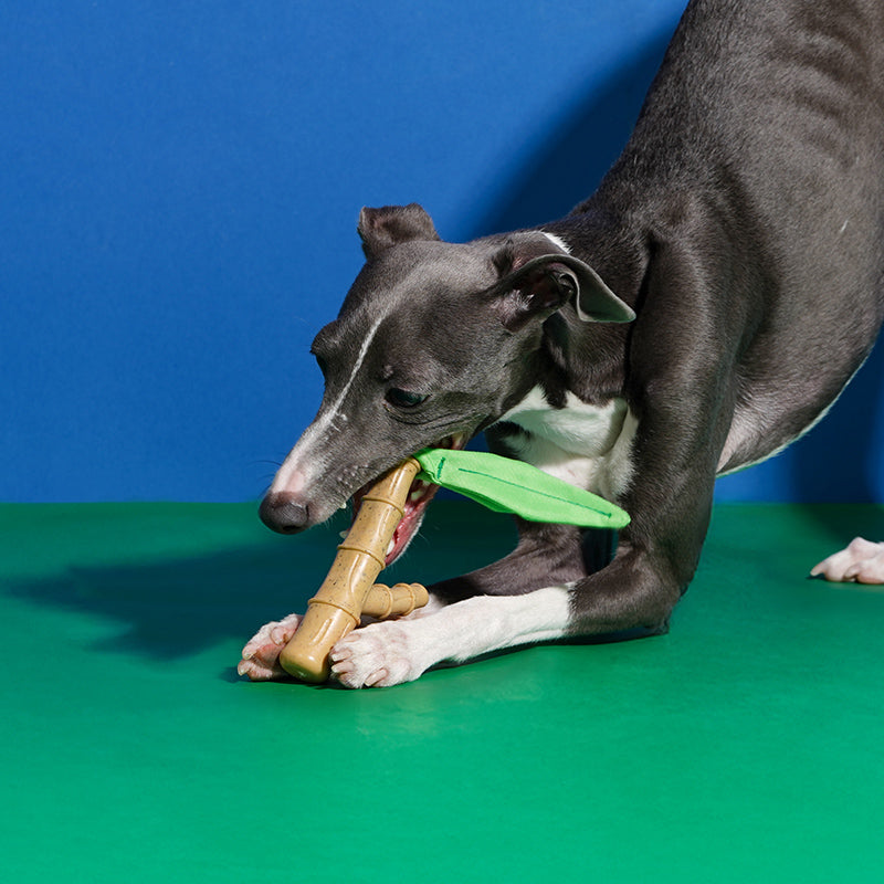 Bamboo Chew & Bite Toy