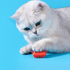 Mr Crabby A Moving Cat Toy