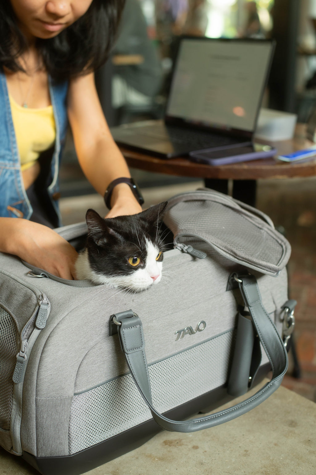 TAVO Dupree II Airline Pet Carrier & Car Seat