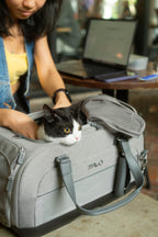 TAVO Dupree II Airline Pet Carrier & Car Seat