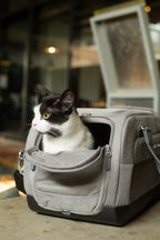 TAVO Dupree II Airline Pet Carrier & Car Seat