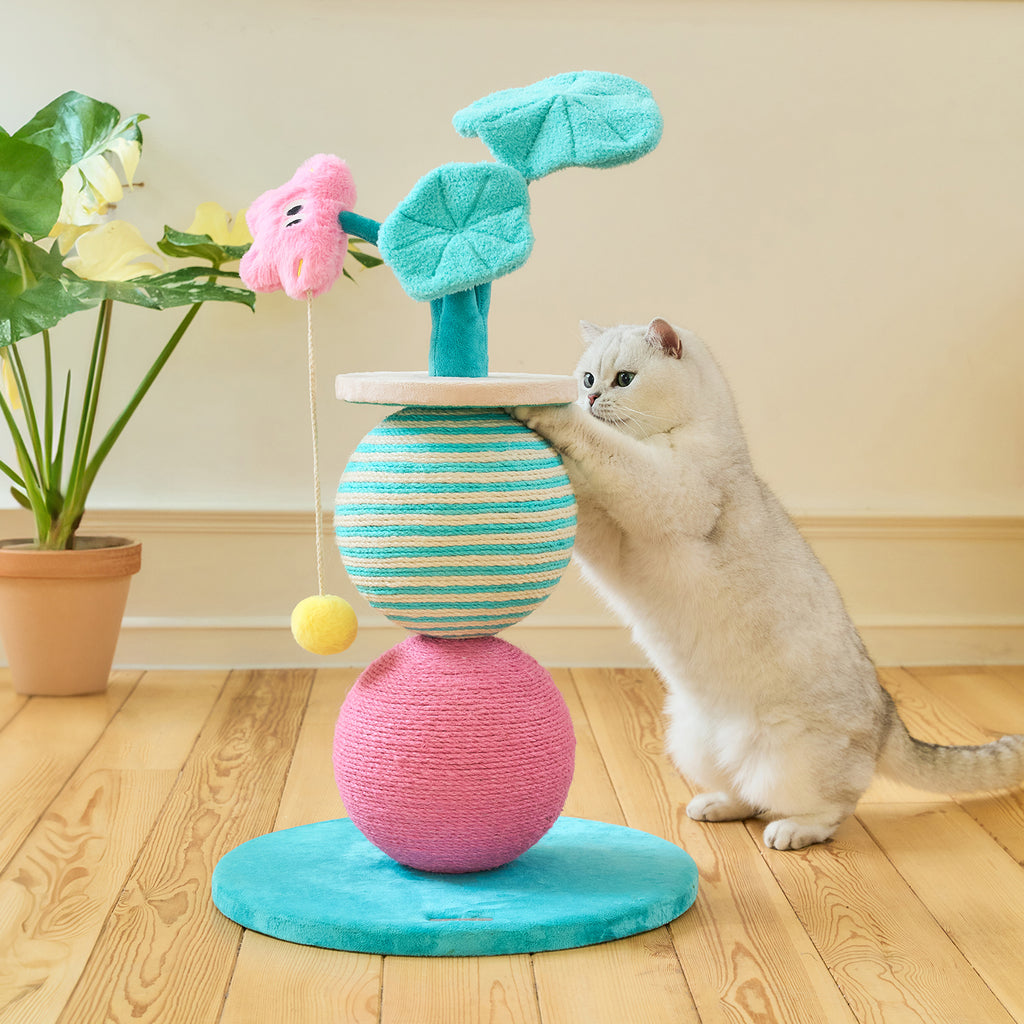 Paddle Pop Cat Scratcher