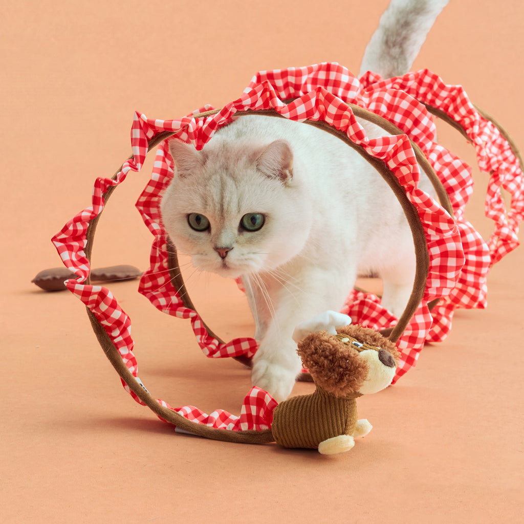Whimsy Tunnel