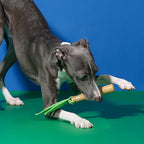 Bamboo Chew & Bite Toy
