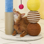 Lolly Cat Scratcher