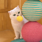 Paddle Pop Cat Scratcher