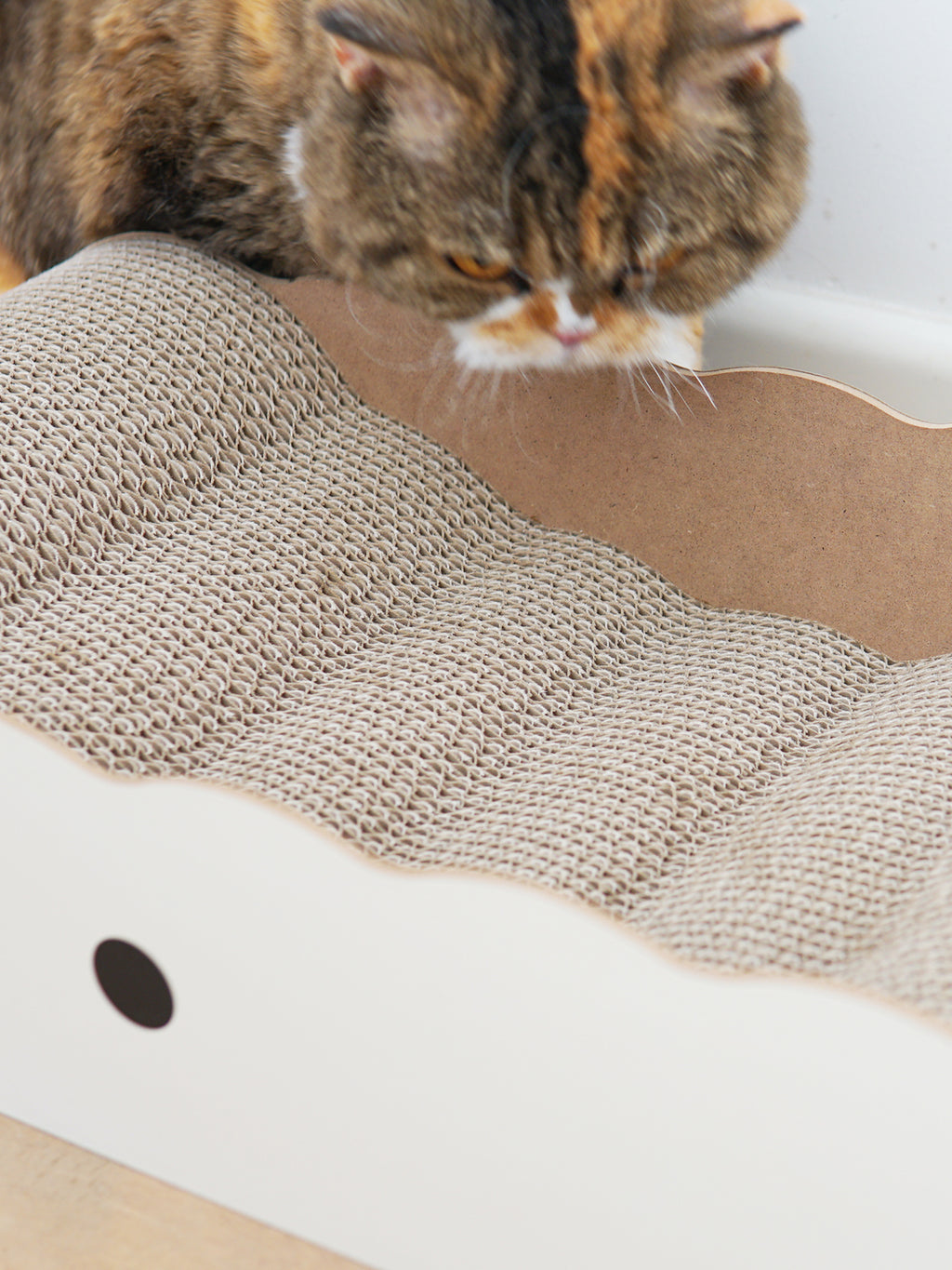 Chicky Wave Scratcher