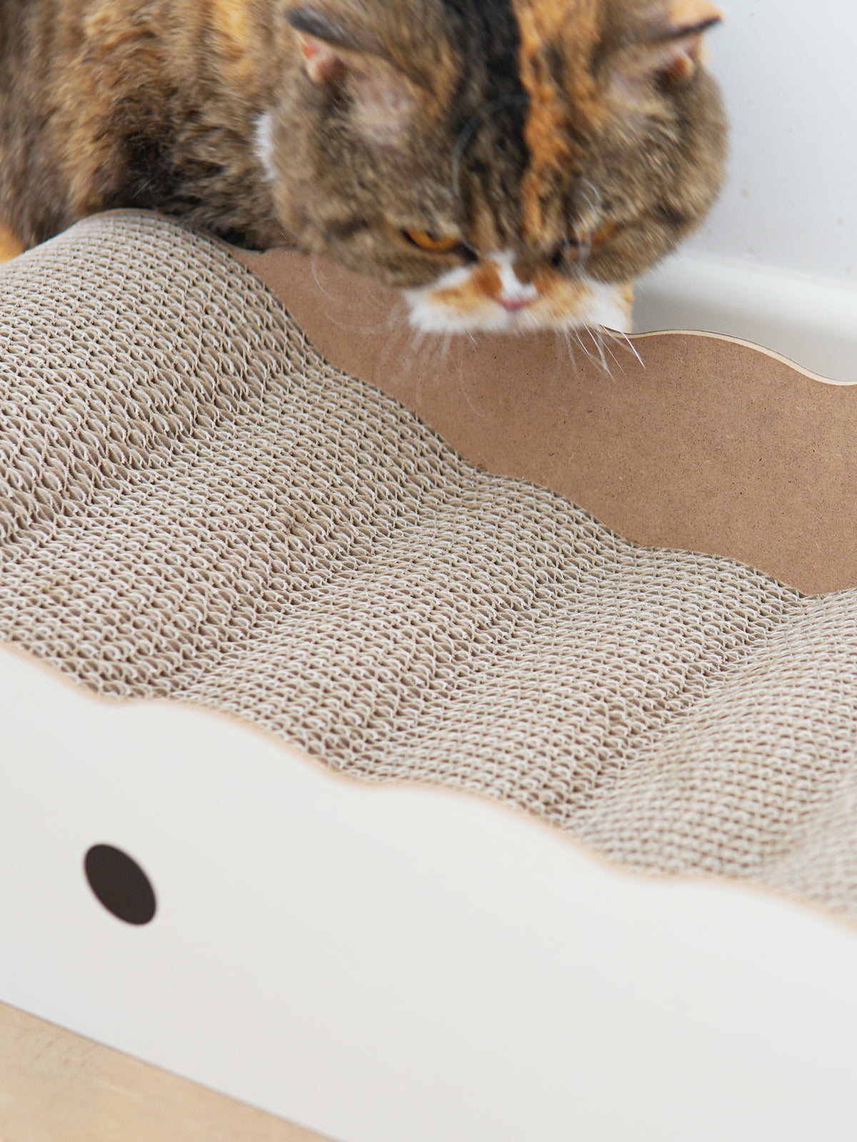 Chicky Wave Scratcher