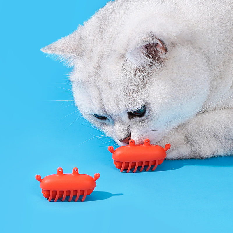 Mr Crabby A Moving Cat Toy