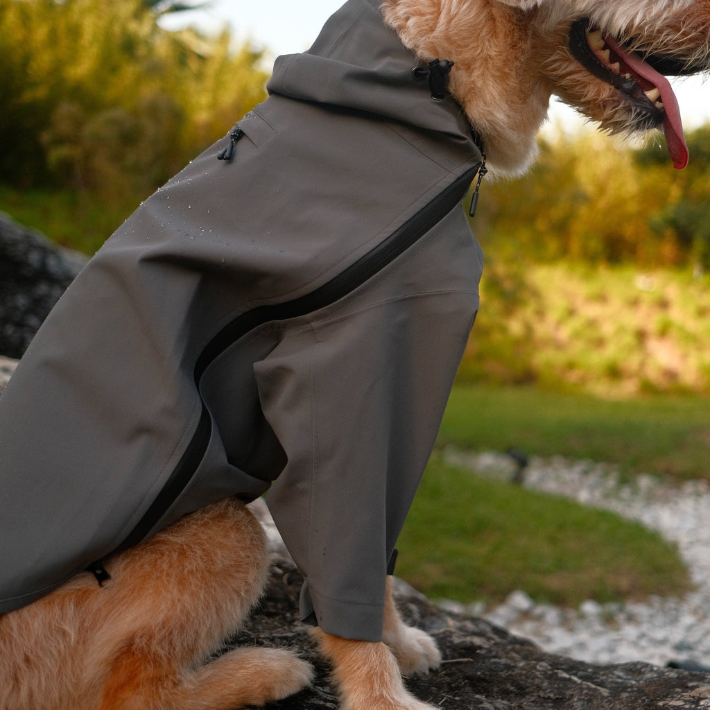Altoff Summit Shell Waterproof Dog Raincoat