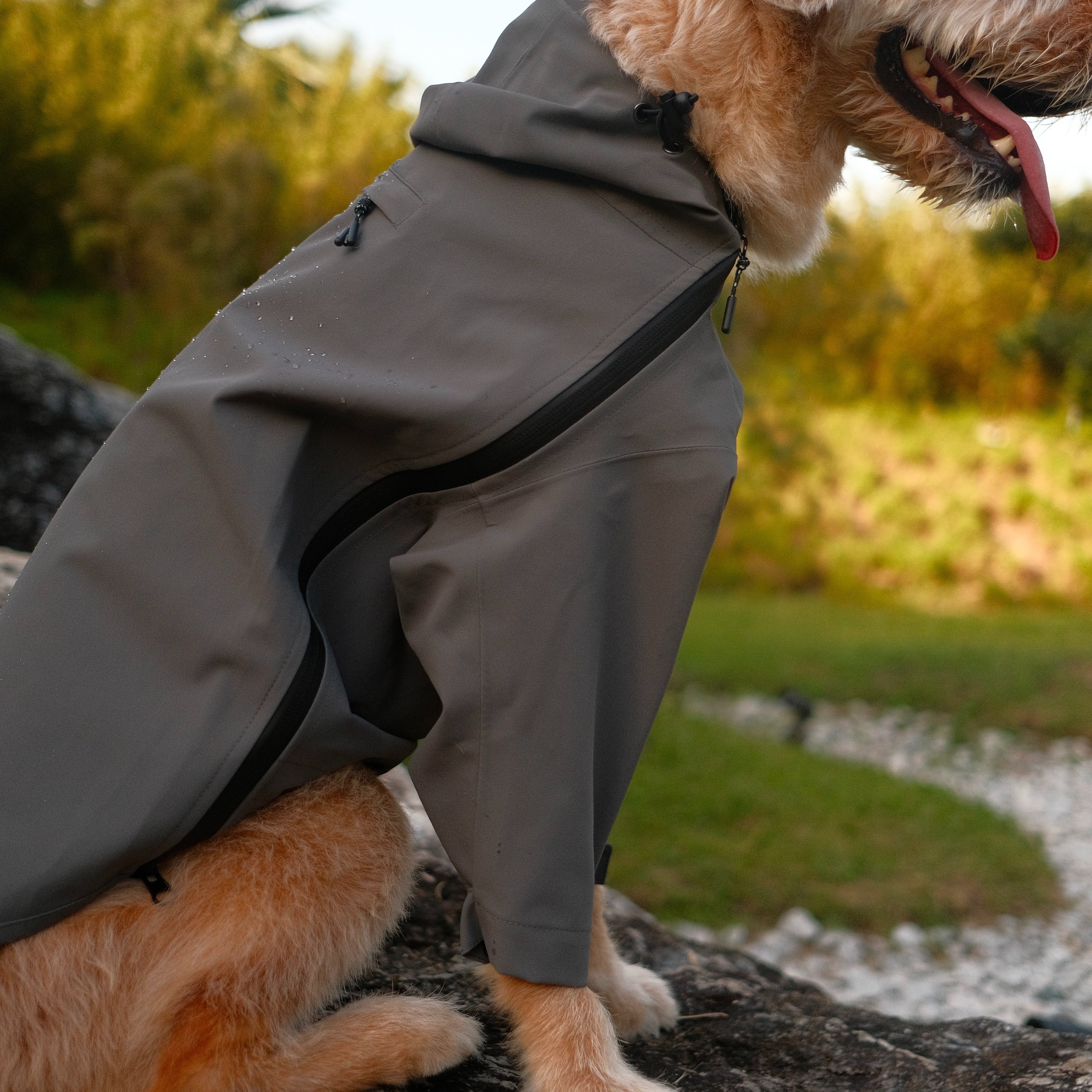 Altoff Summit Shell Waterproof Dog Raincoat