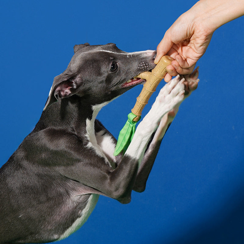 Bamboo Chew & Bite Toy