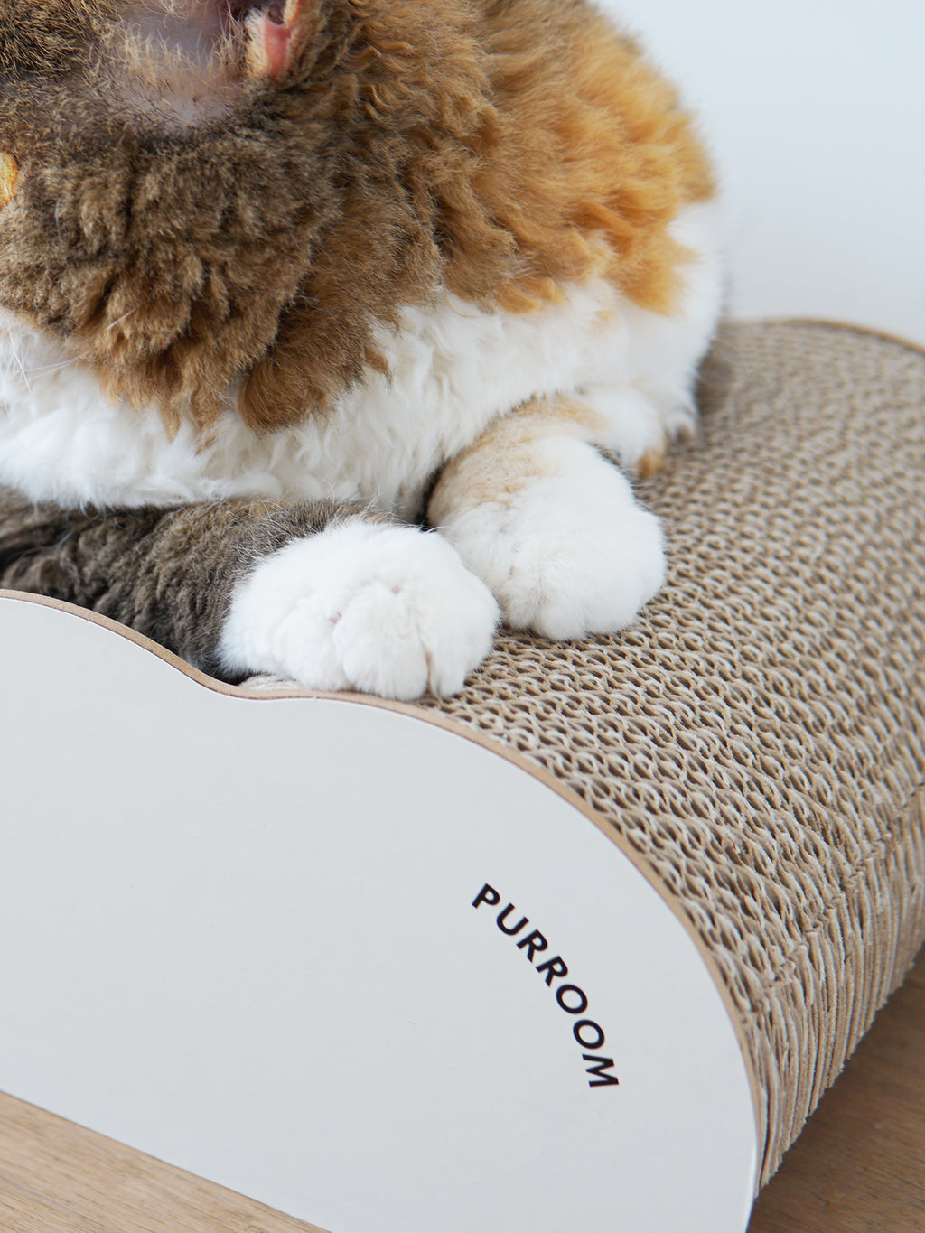 Chicky Wave Scratcher