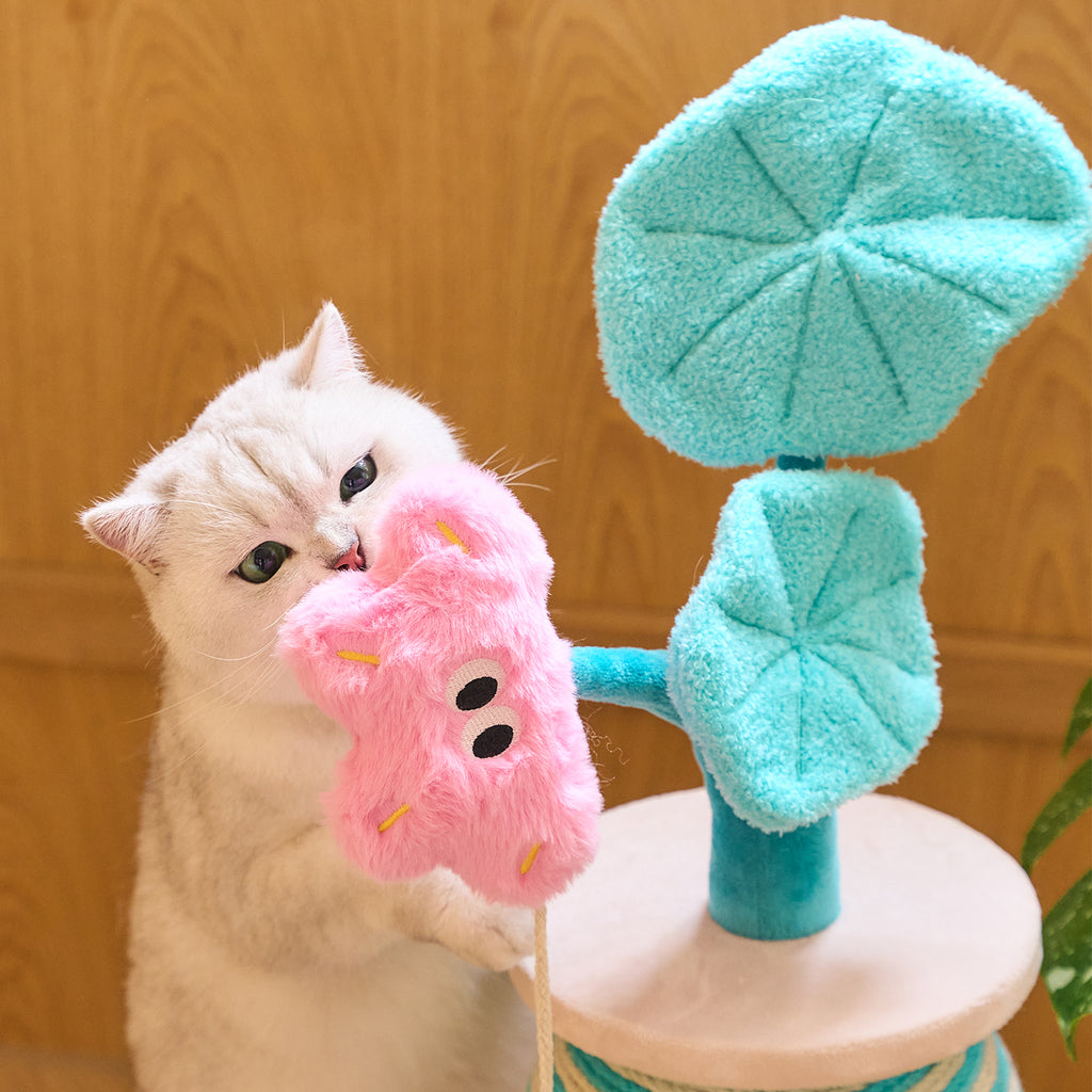 Paddle Pop Cat Scratcher