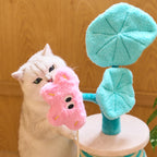 Paddle Pop Cat Scratcher