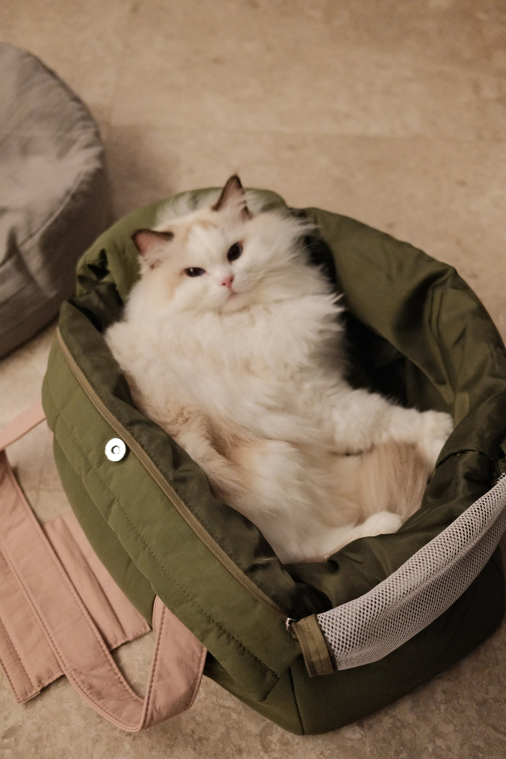 Tippy Tappy Nest Pet Carrier
