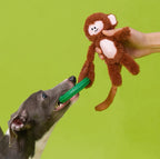 Hanging Monkey Toy