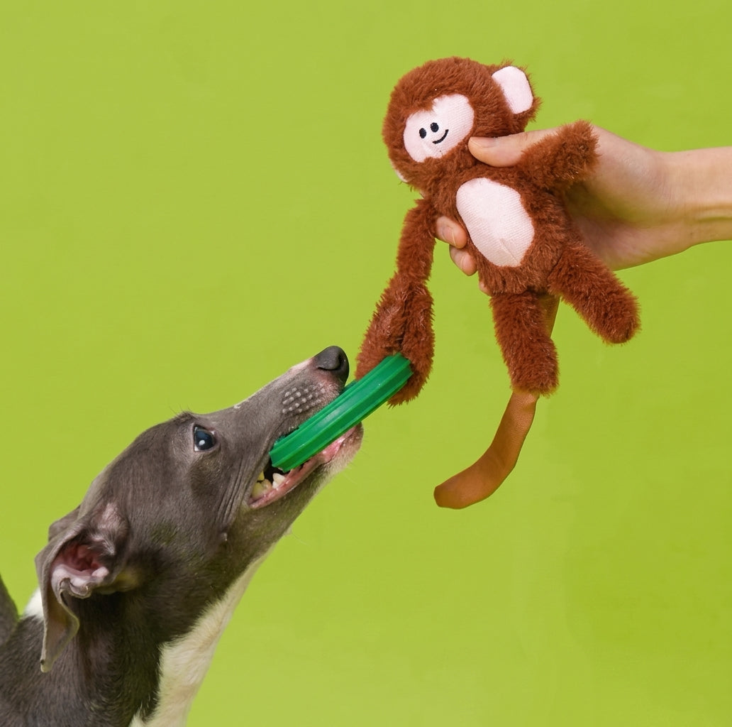Hanging Monkey Toy