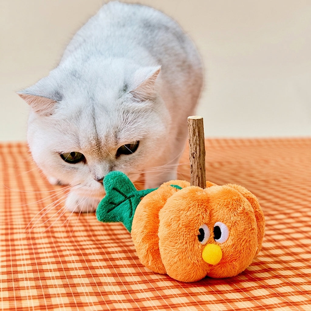 Pumpkin Cat Toy With A Stick