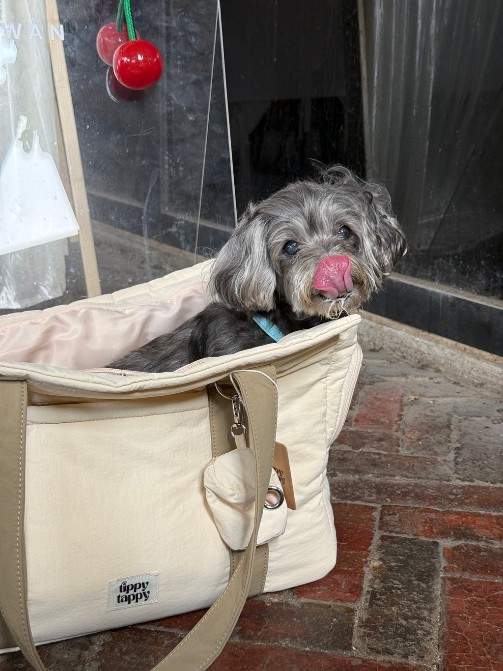 Tippy Tappy Nest Pet Carrier