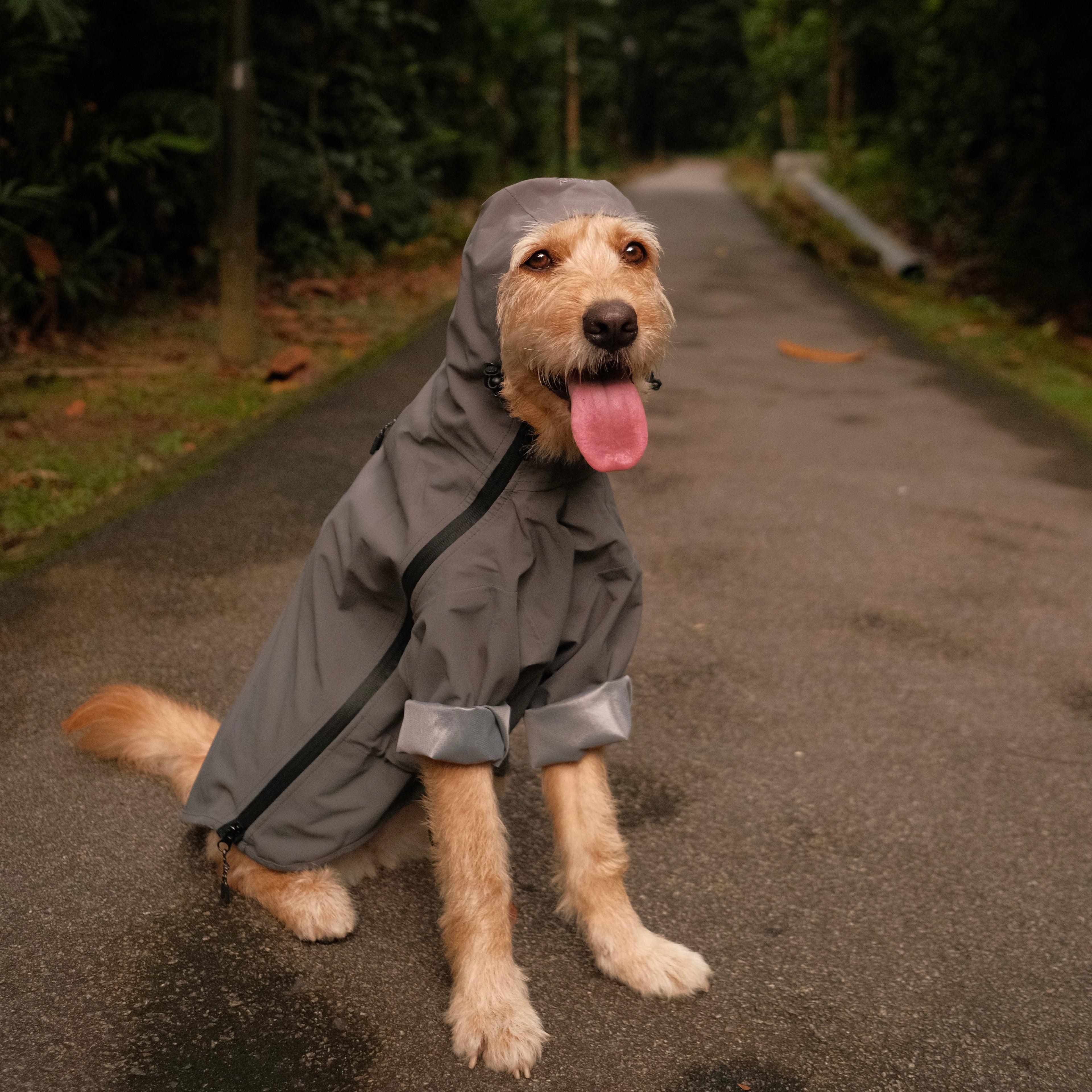 Altoff Summit Shell Waterproof Dog Raincoat
