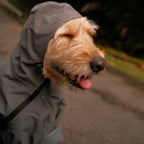 Altoff Summit Shell Waterproof Dog Raincoat