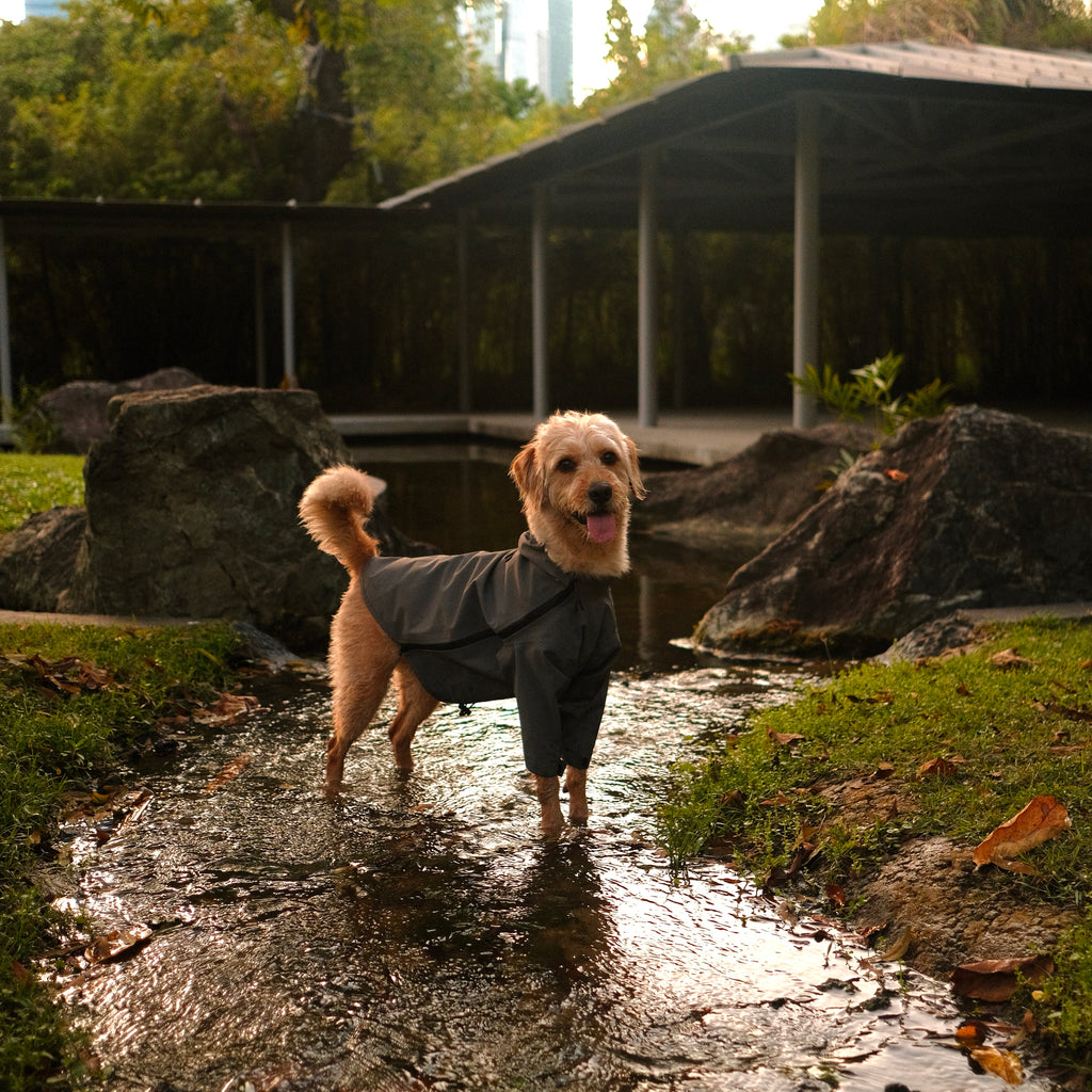 Altoff Summit Shell Waterproof Dog Raincoat