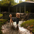 Altoff Summit Shell Waterproof Dog Raincoat