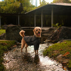Altoff Summit Shell Waterproof Dog Raincoat