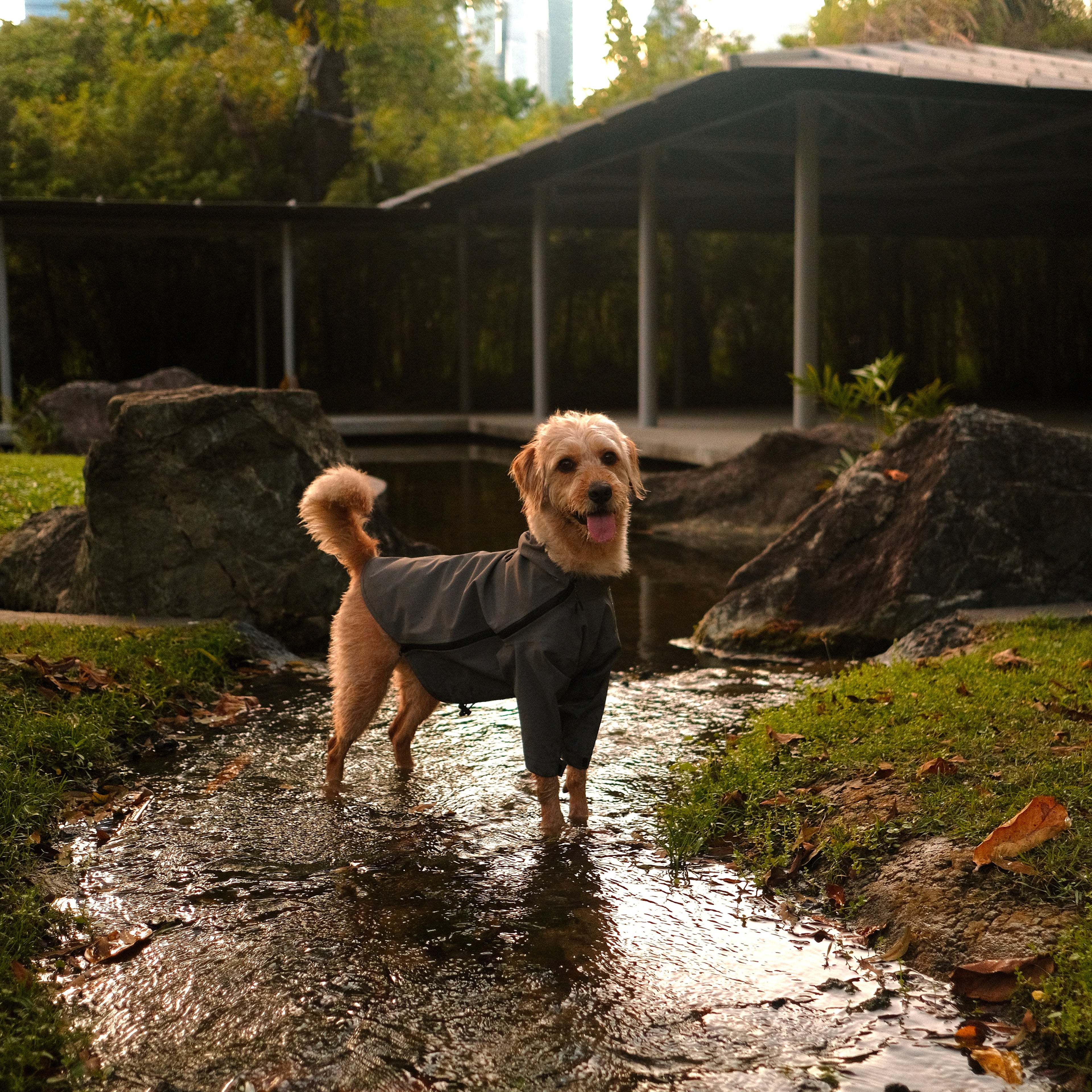 Altoff Summit Shell Waterproof Dog Raincoat