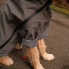Altoff Summit Shell Waterproof Dog Raincoat