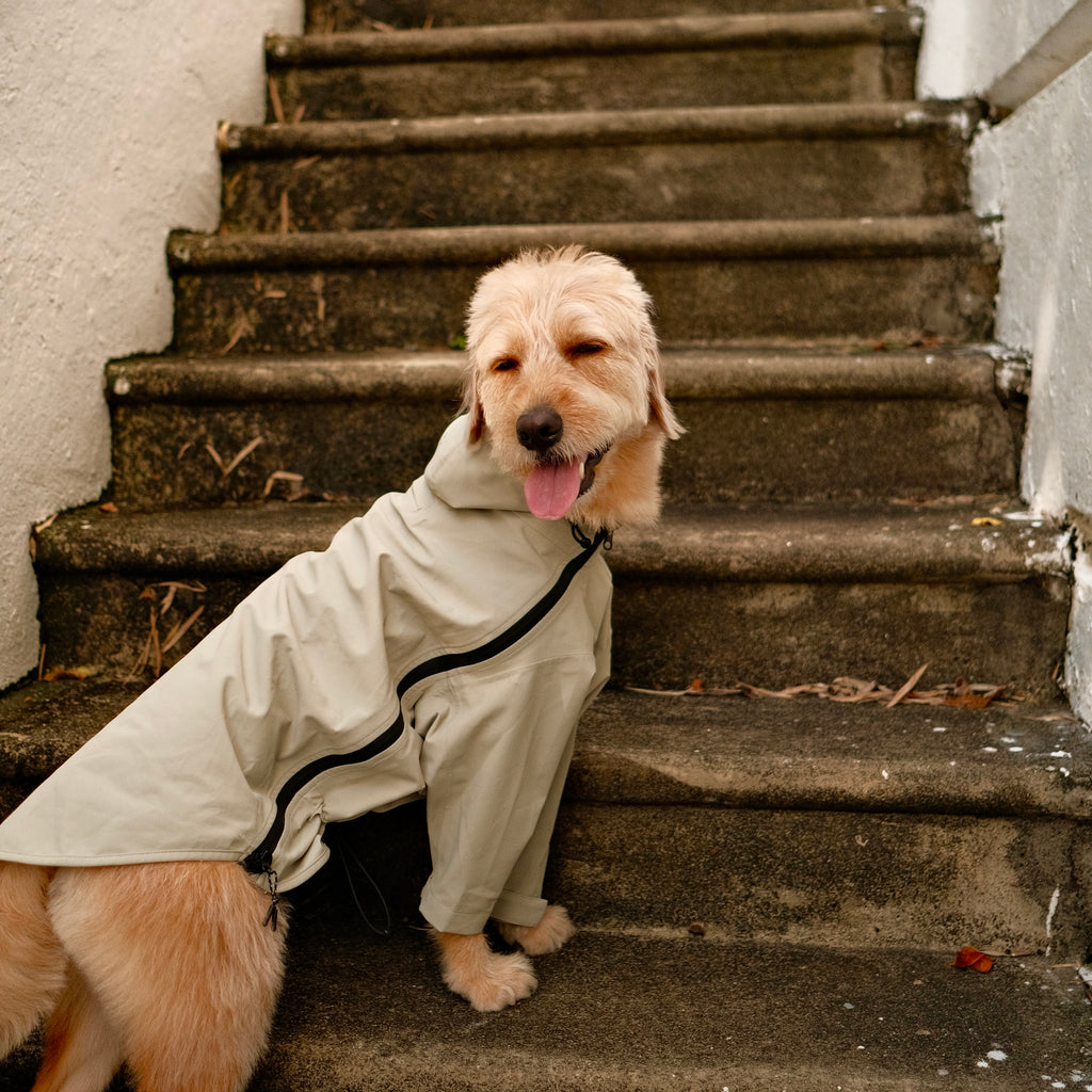 Altoff Summit Shell Waterproof Dog Raincoat