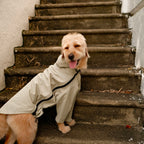 Altoff Summit Shell Waterproof Dog Raincoat