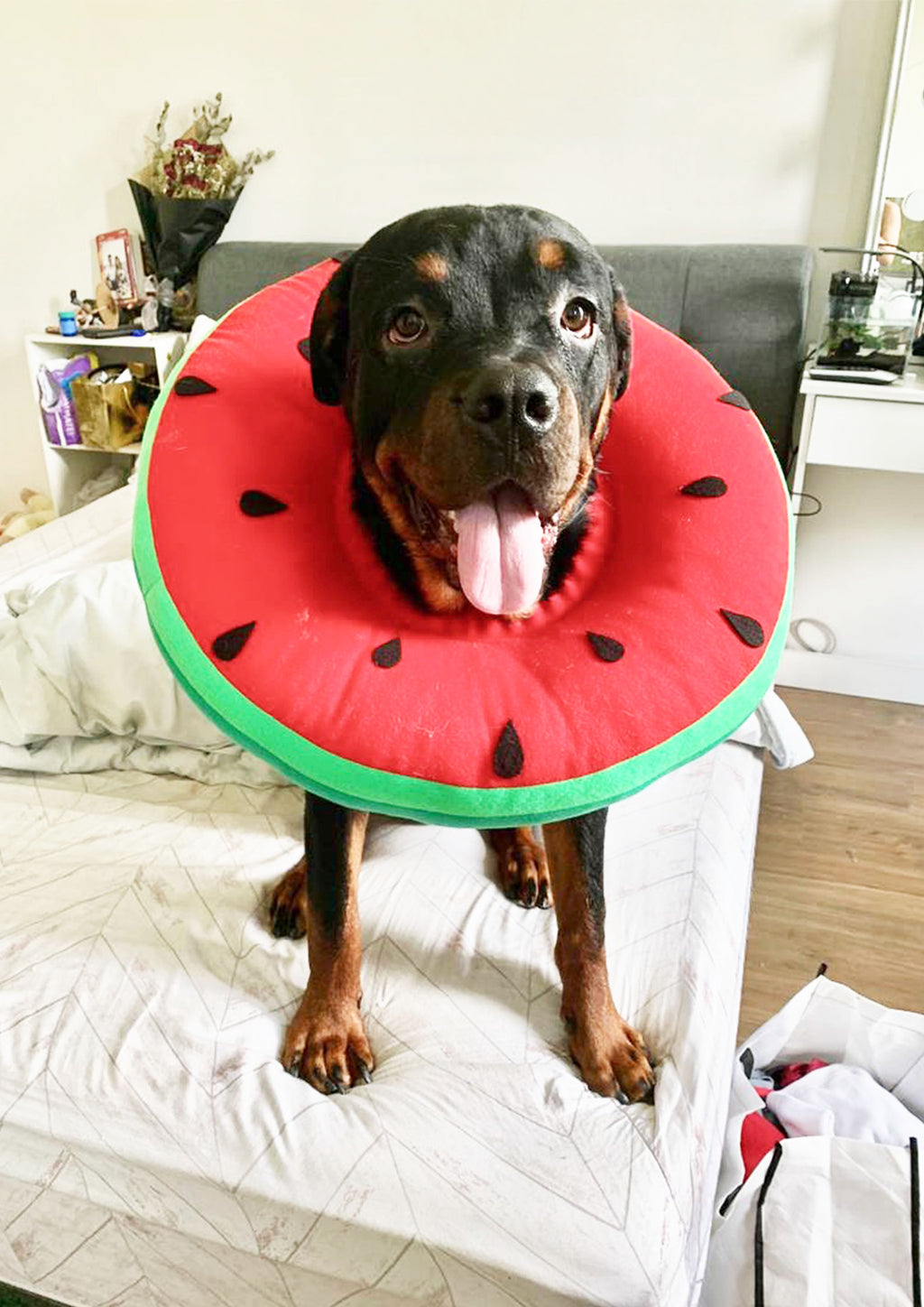Watermelon Cone