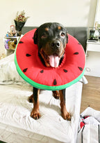 Watermelon Cone