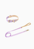 CURIO Collar & Leash Set (Lilac)