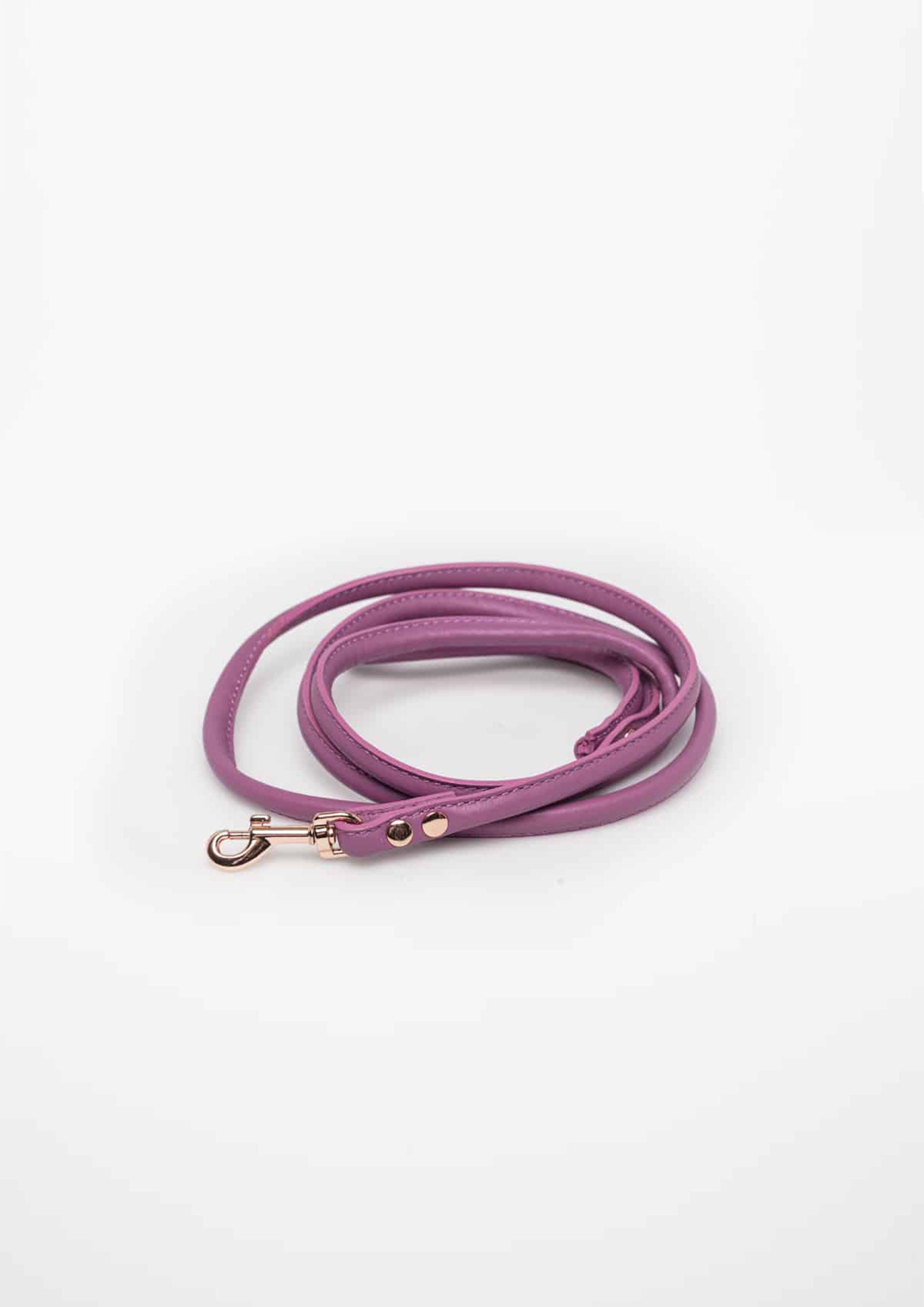 Purple Vegan Lead