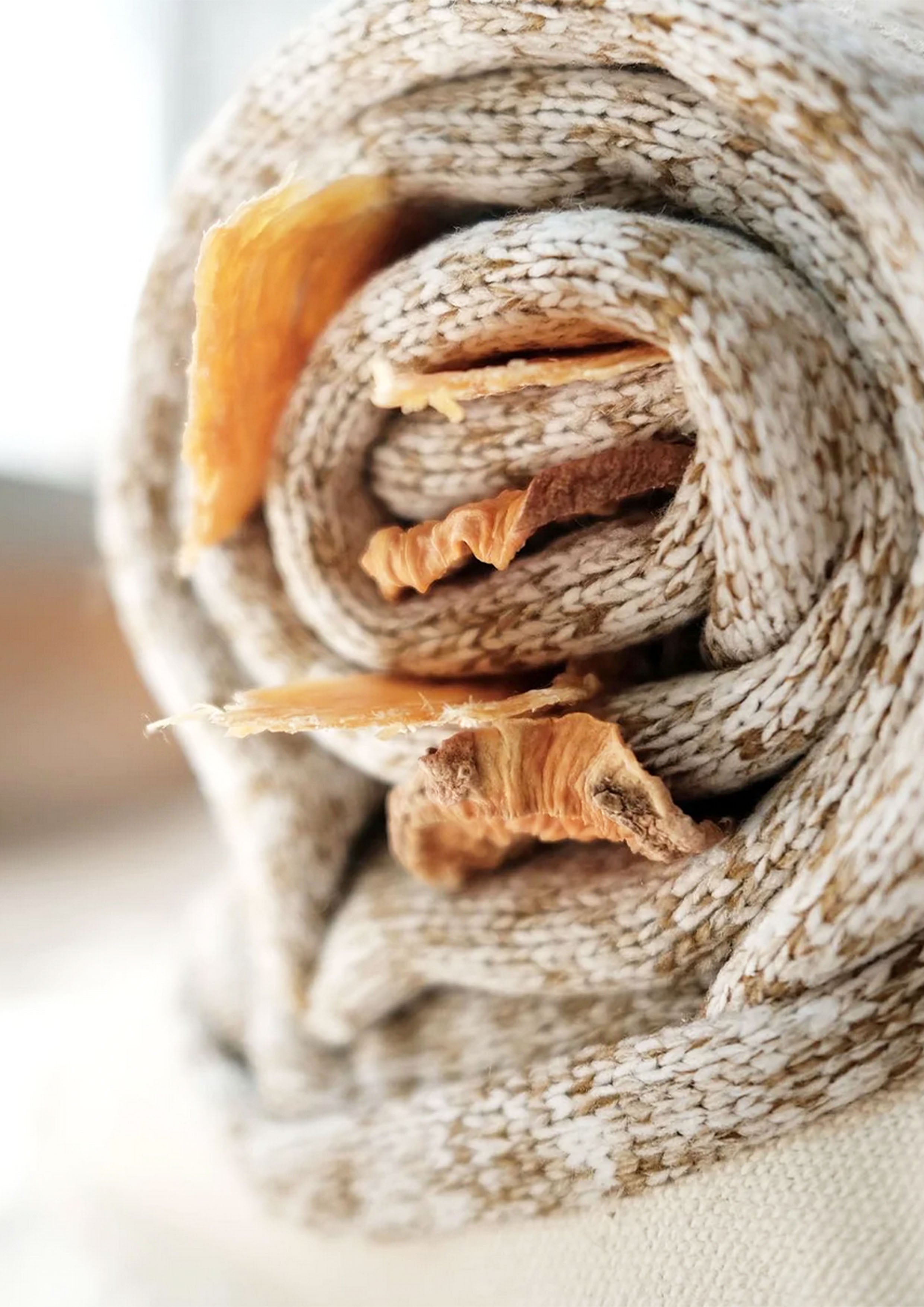 SNAIL Snuffle + Squeaky