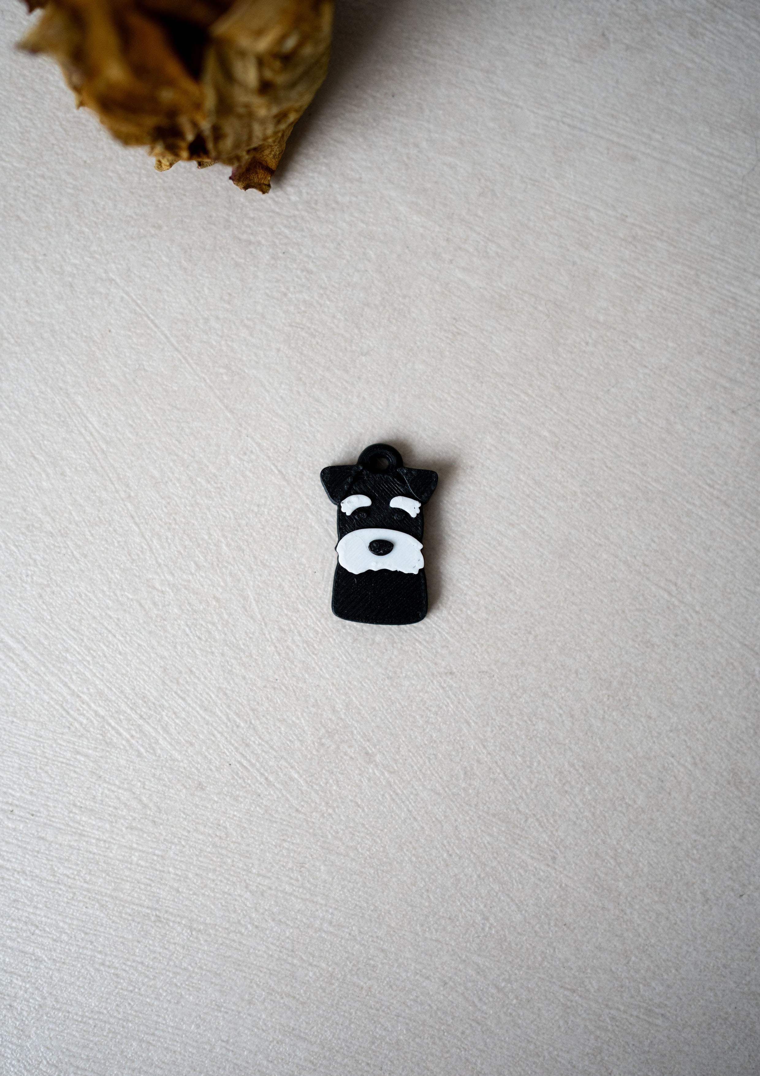 Schnauzer Prosopa Charm