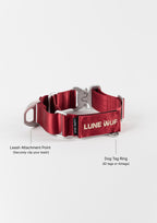 Buckle Martingale (Signature Red)