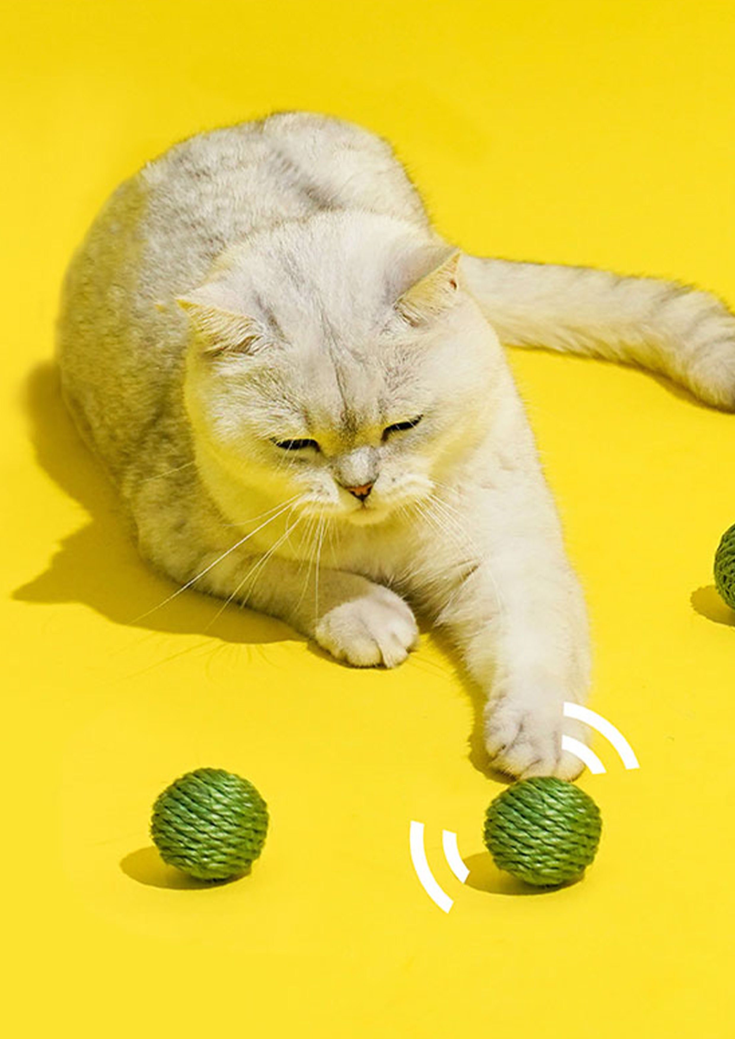 Green Pea Nosework Toy