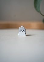Pomeranian Prosopa Charm