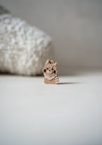 Maine Coon Prosopa Charm