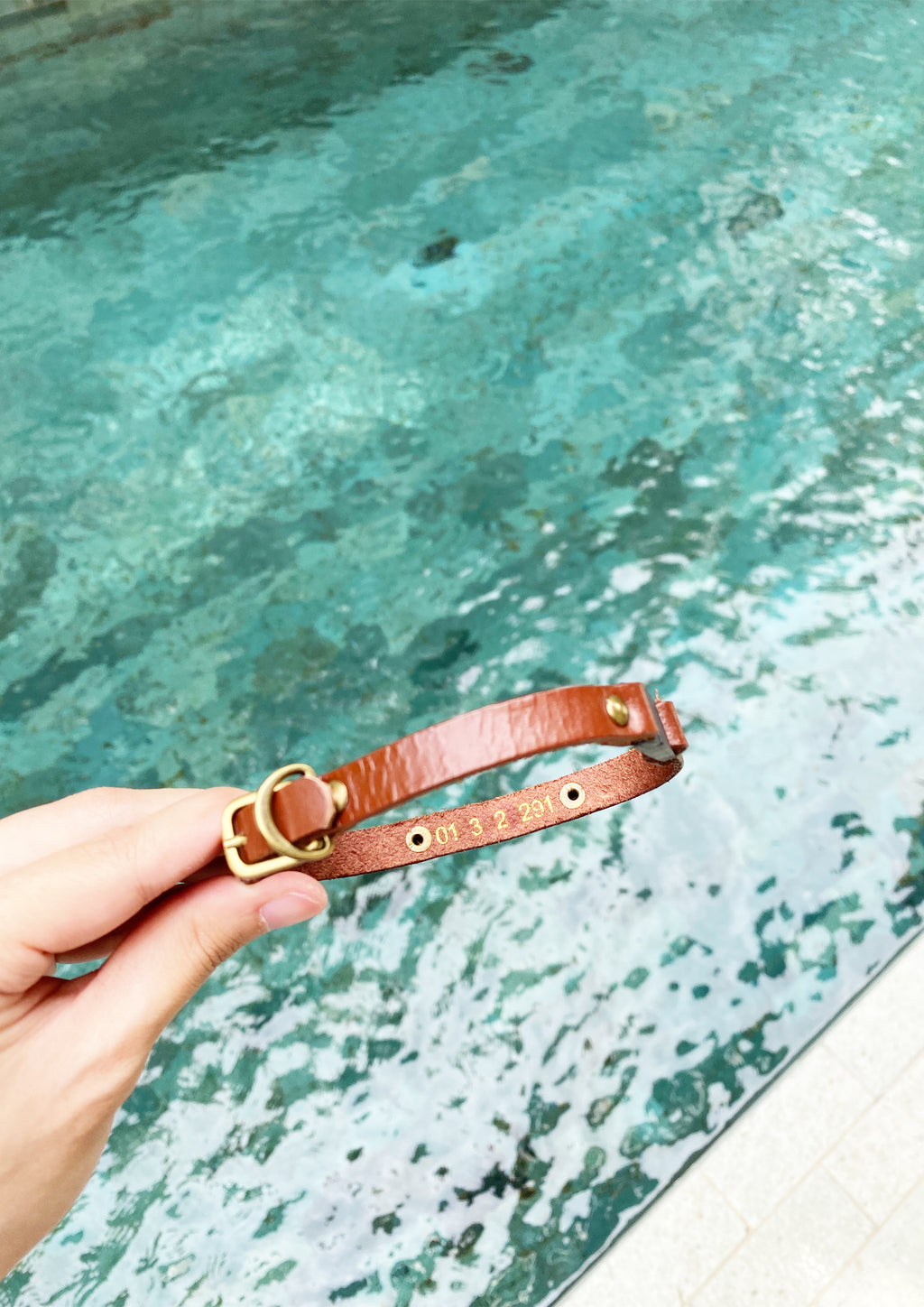 Custom Leather Collar