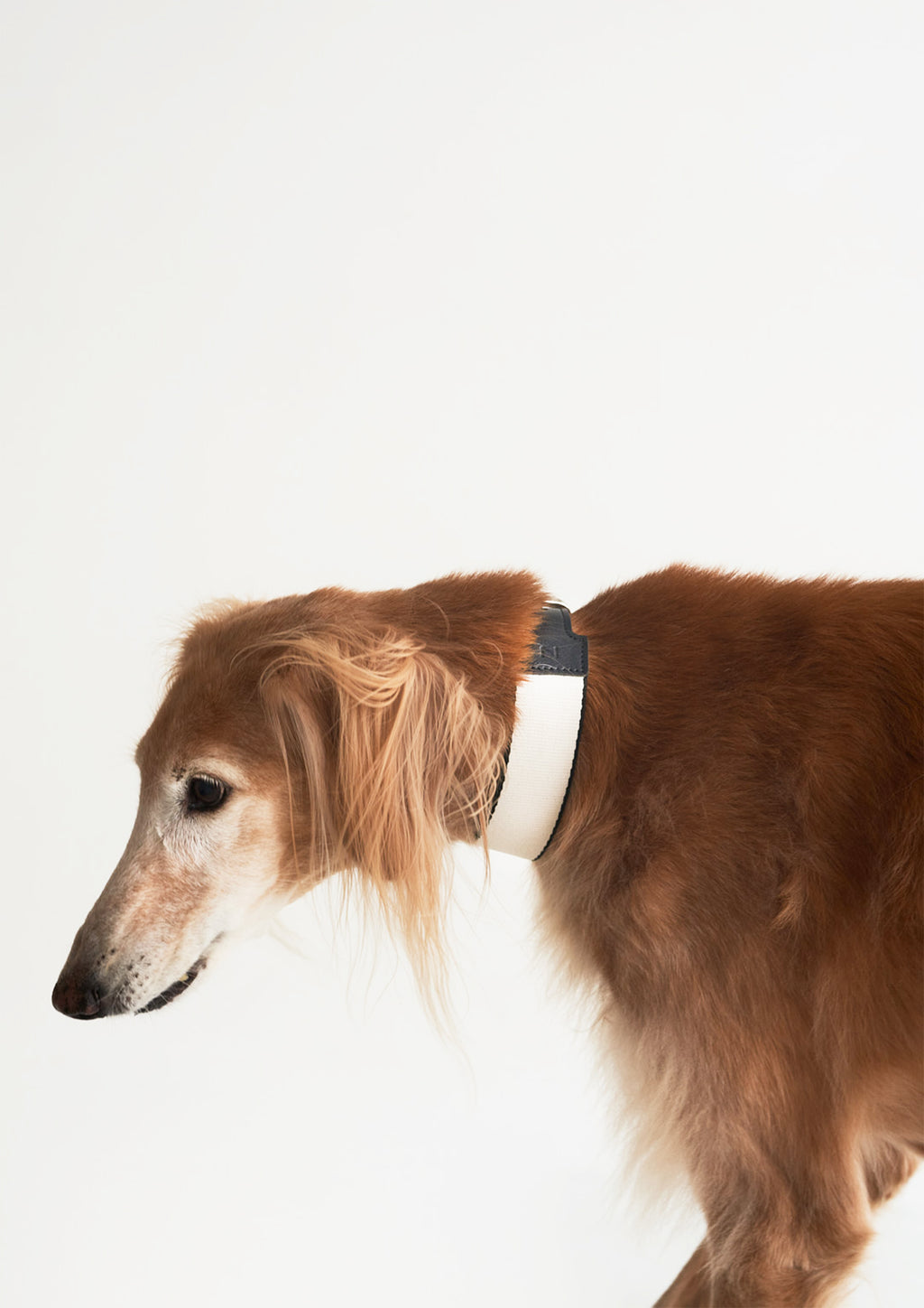 BREIT Collar