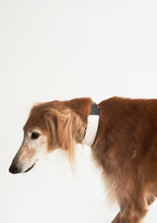BREIT Collar