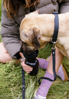 Flip Dog Travel Bottle (Black)