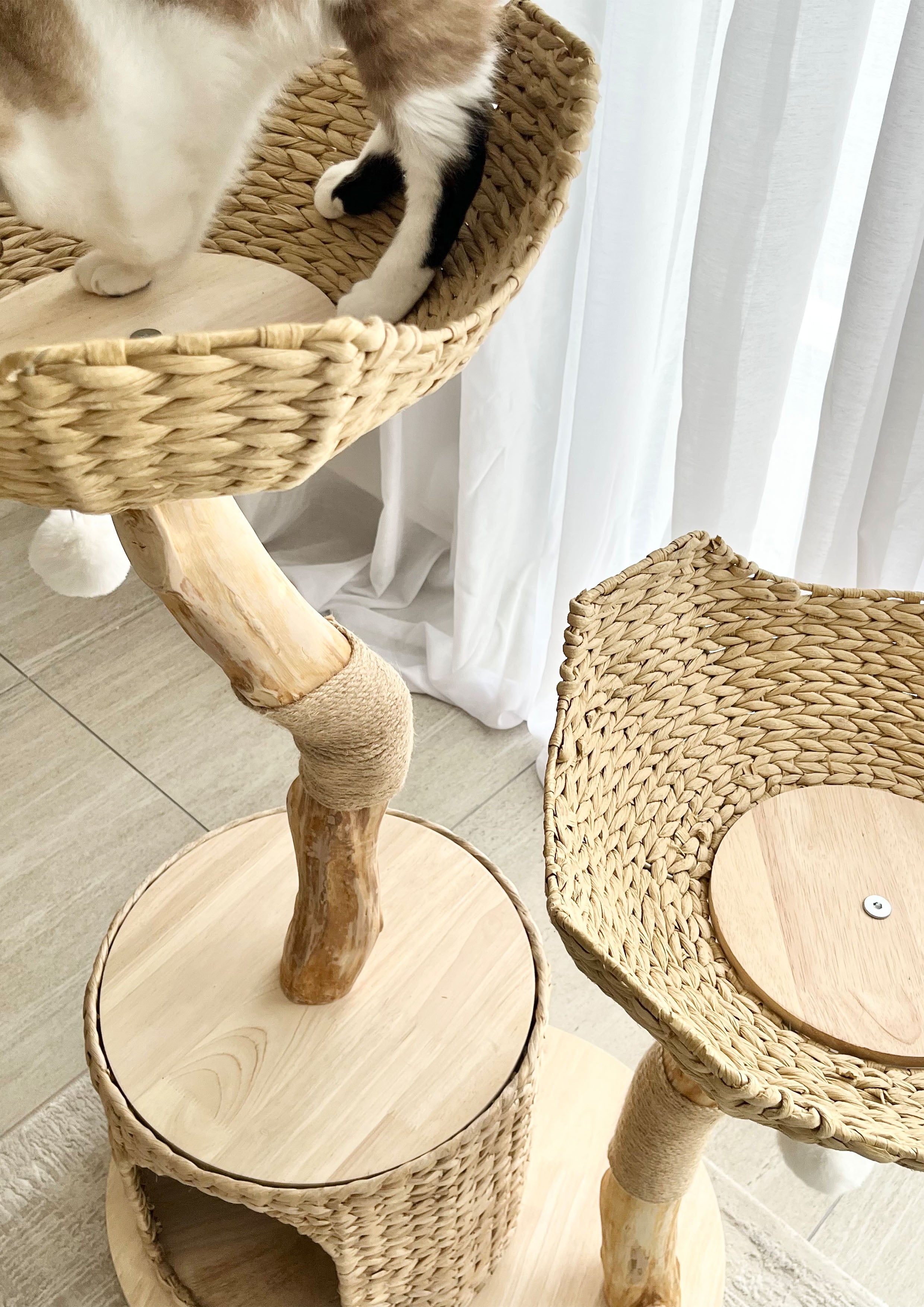 Litchi Nest Cat Tree