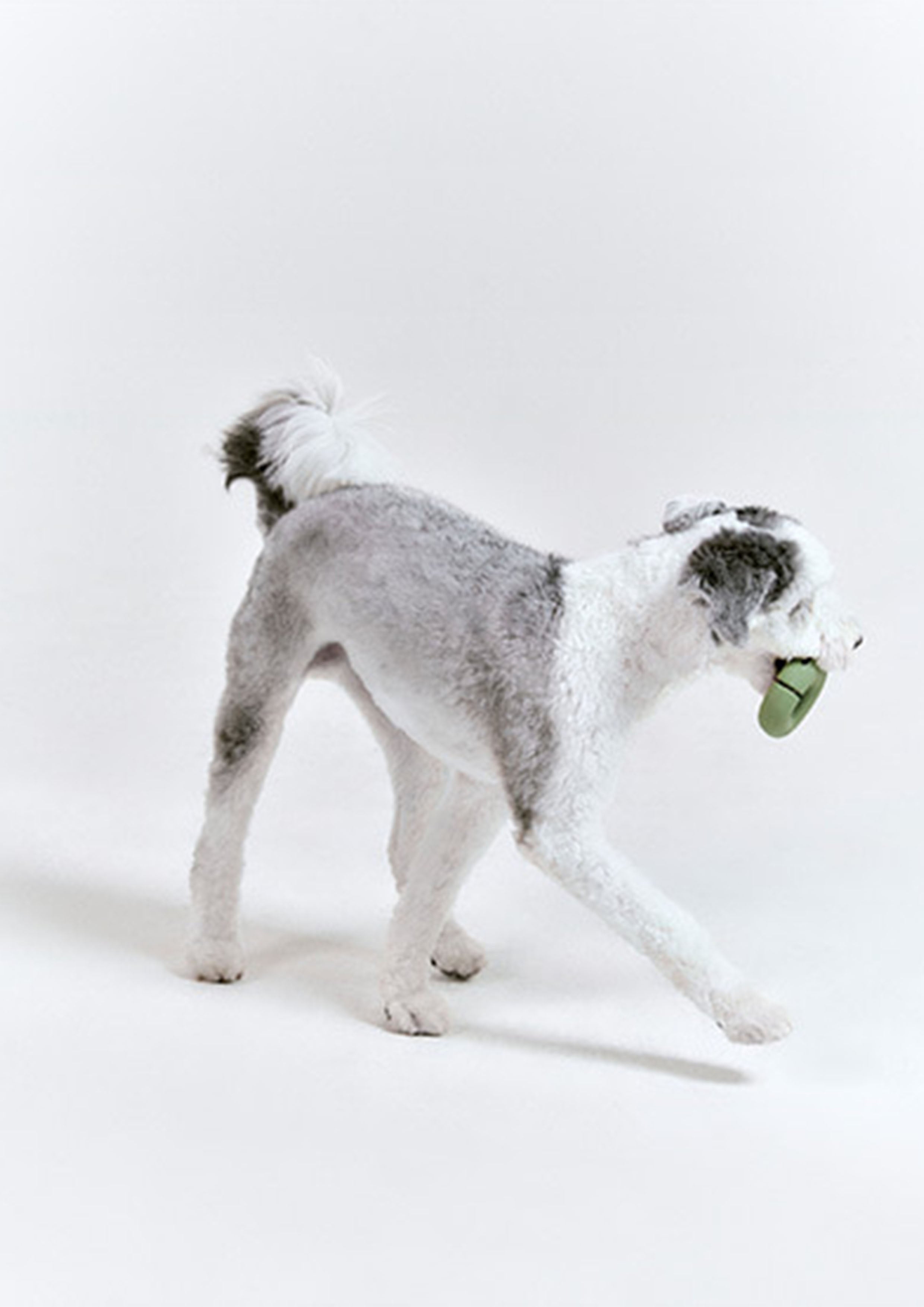 Gori (Olive Green)